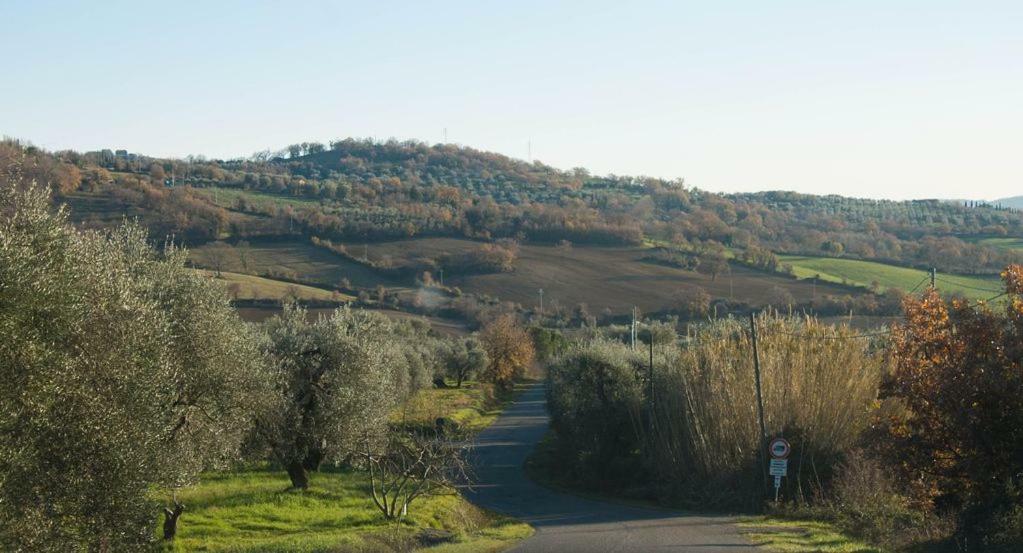 Le Casette Country House Petricci Buitenkant foto